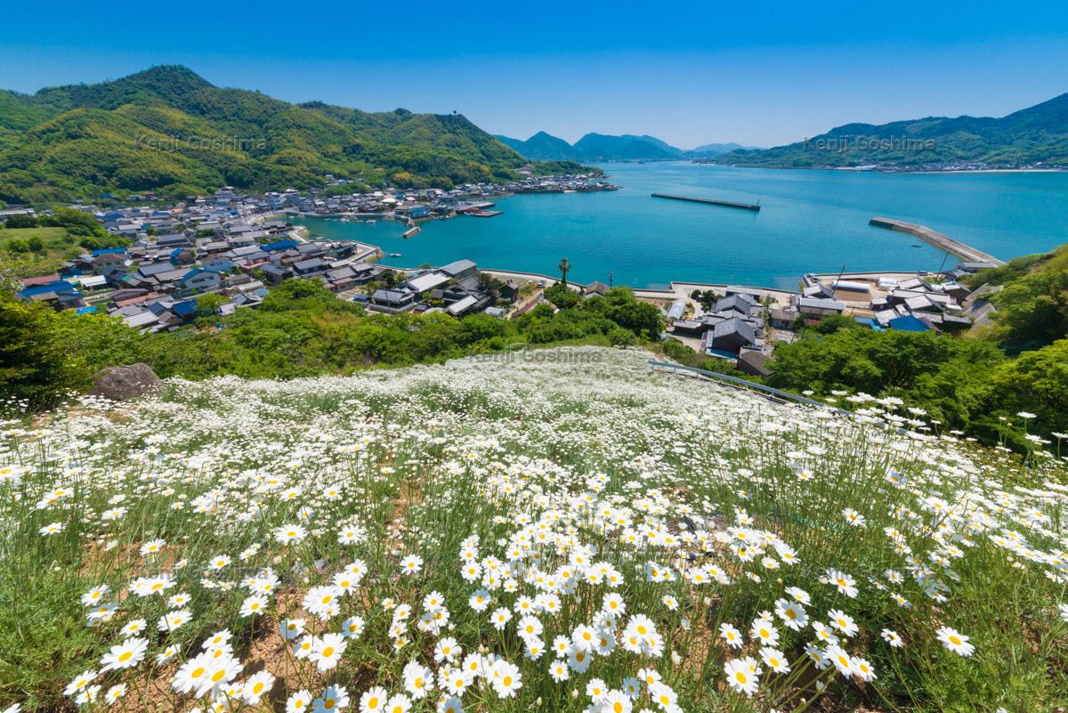 広島県の撮影スポット 絶景ポイント ピクスポット 絶景 風景写真 撮影スポット 撮影ガイド カメラの使い方