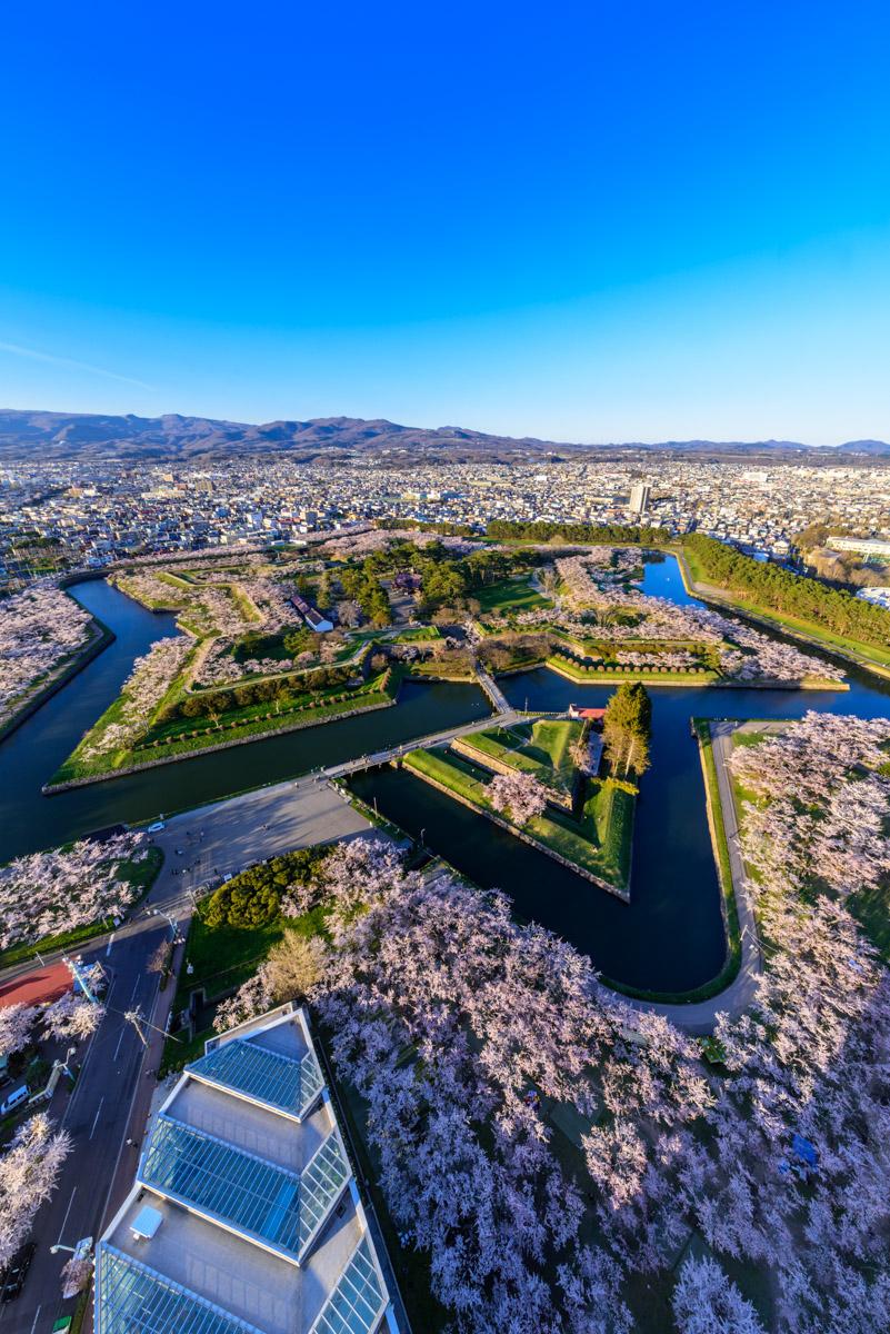 五稜郭 函館のシンボル 星型のお堀を囲むソメイヨシノが見事 ピクスポット 絶景 風景写真 撮影スポット 撮影ガイド カメラの使い方