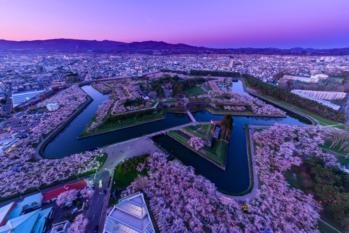 五稜郭 函館のシンボル 星型のお堀を囲むソメイヨシノが見事 ピクスポット 絶景 風景写真 撮影スポット 撮影ガイド カメラの使い方