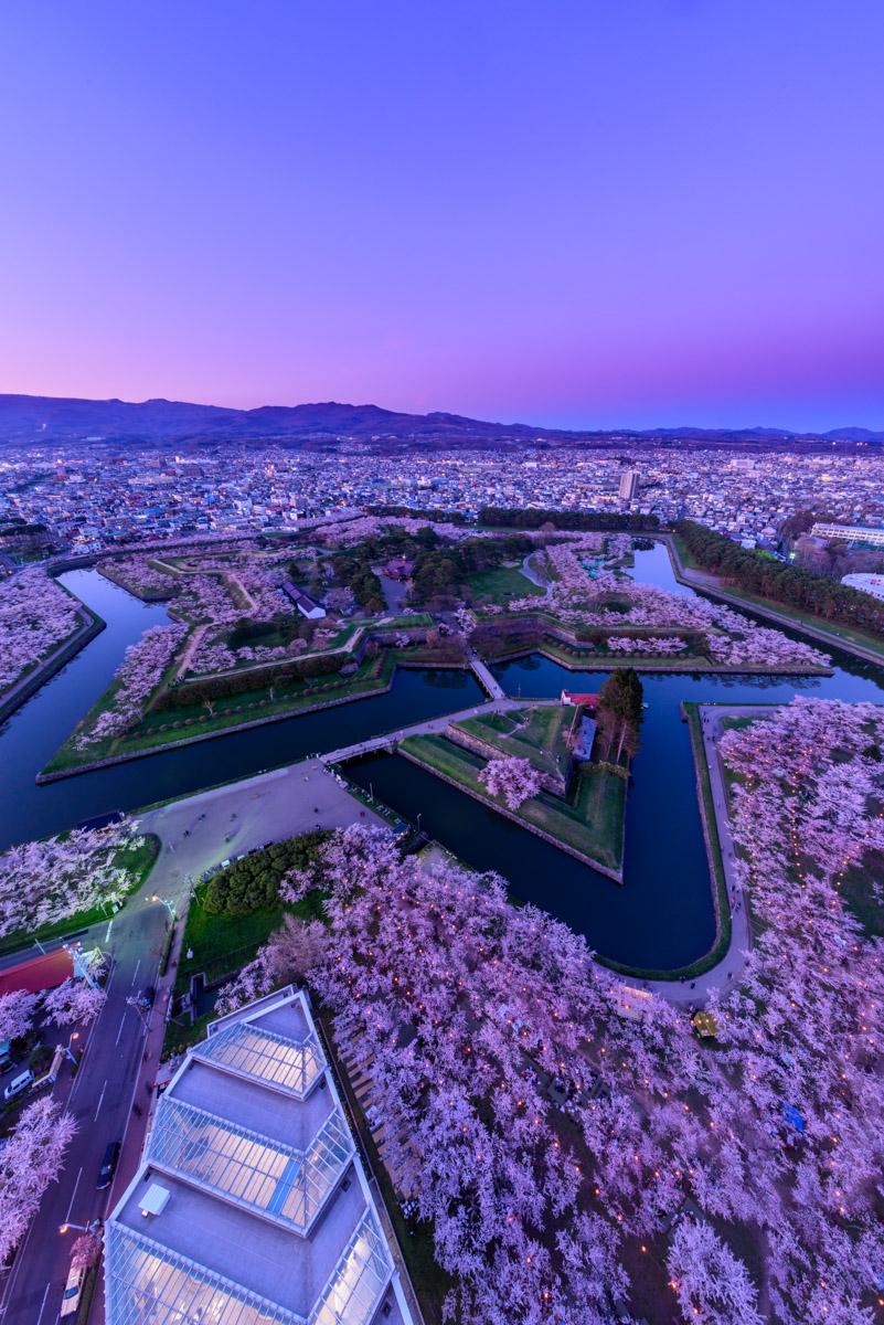 五稜郭 函館のシンボル 星型のお堀を囲むソメイヨシノが見事 ピクスポット 絶景 風景写真 撮影スポット 撮影ガイド カメラの使い方