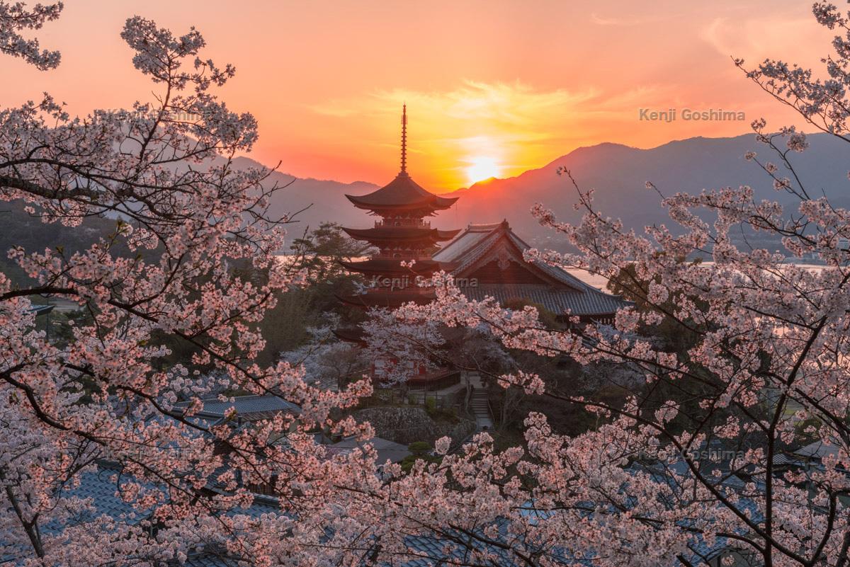 宮島 日本三景と世界遺産に選定されている広島県を代表する観光地 ピクスポット 絶景 風景写真 撮影スポット 撮影ガイド カメラの使い方