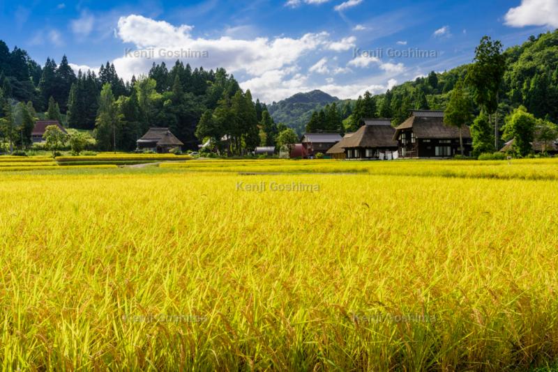 荻ノ島かやぶきの里| 