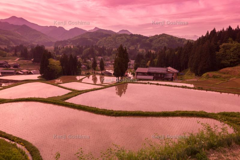 北五百川の棚田| 