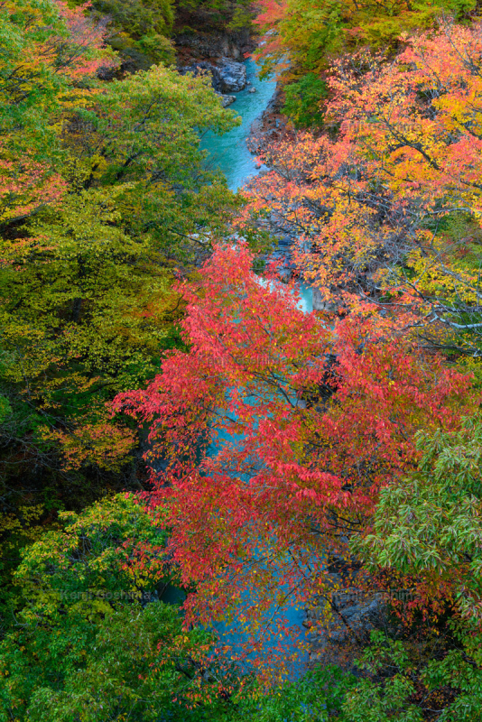 吾妻渓谷 ピクスポット 絶景 風景写真 撮影スポット 撮影ガイド カメラの使い方