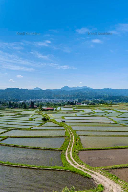 椹平の棚田 扇状の巨大棚田に最上川の川霧が流れ込む ピクスポット 絶景 風景写真 撮影スポット 撮影ガイド カメラの使い方