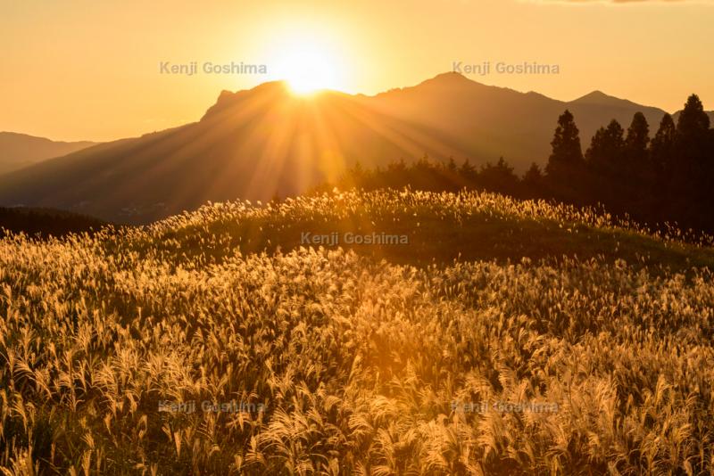 曽爾高原 高原一面に広がるススキの絨毯 ピクスポット 絶景 風景写真 撮影スポット 撮影ガイド カメラの使い方