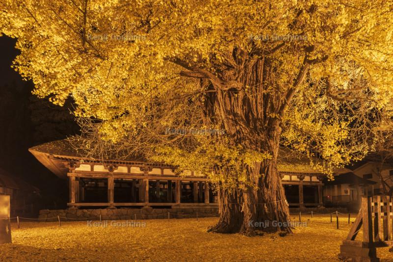 熊野神社 長床| 