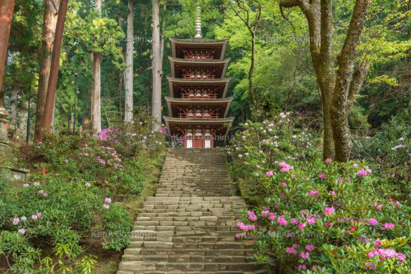 室生寺| 