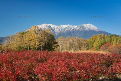 木曽馬の里 御嶽山| 