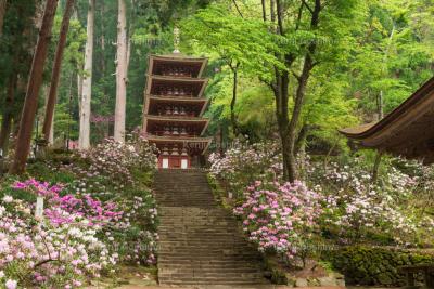 室生寺| 