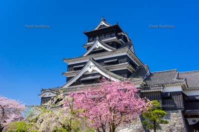 熊本城 | 