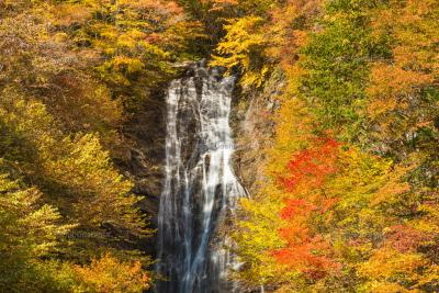 唐沢の滝| 