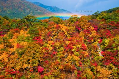 鳴子峡 紅葉と虹| 