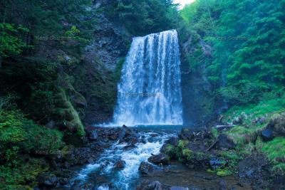 善五郎の滝| 