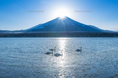 山中湖| 