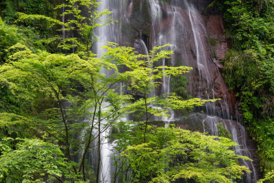 白水の滝 | 